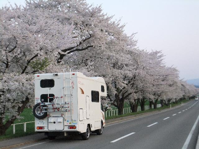 Dscf0105.jpg