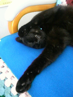 2013080518250001.jpg