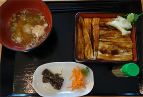 元気5.jpg