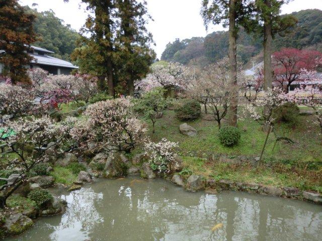 2012_0318_125148-CIMG0403.jpg