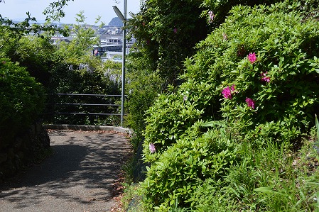 DSC_0115.jpg