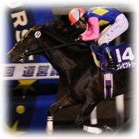 モエレビクトリー号