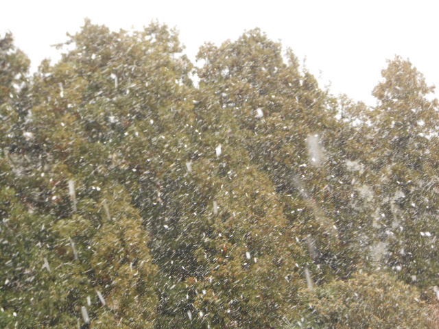 DSCN0751.JPG