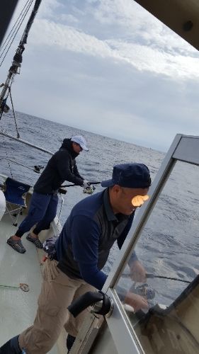 rblog-20180924224326-03.jpg