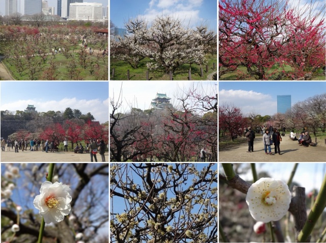 150304ume