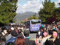 PB230270(15%).jpg