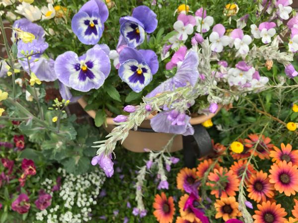 rblog-20190426181100-03.jpg