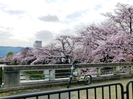 P1030381.JPG