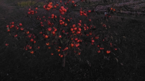 20151201005.jpg