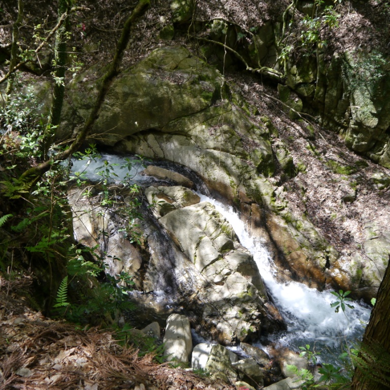 P1060976（橘青龍の滝）.jpg
