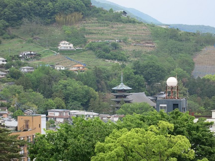 舞鶴城公園43.jpg