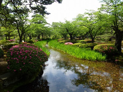 P1000114.jpg