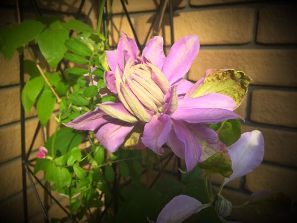rblog-20160426175049-01.jpg