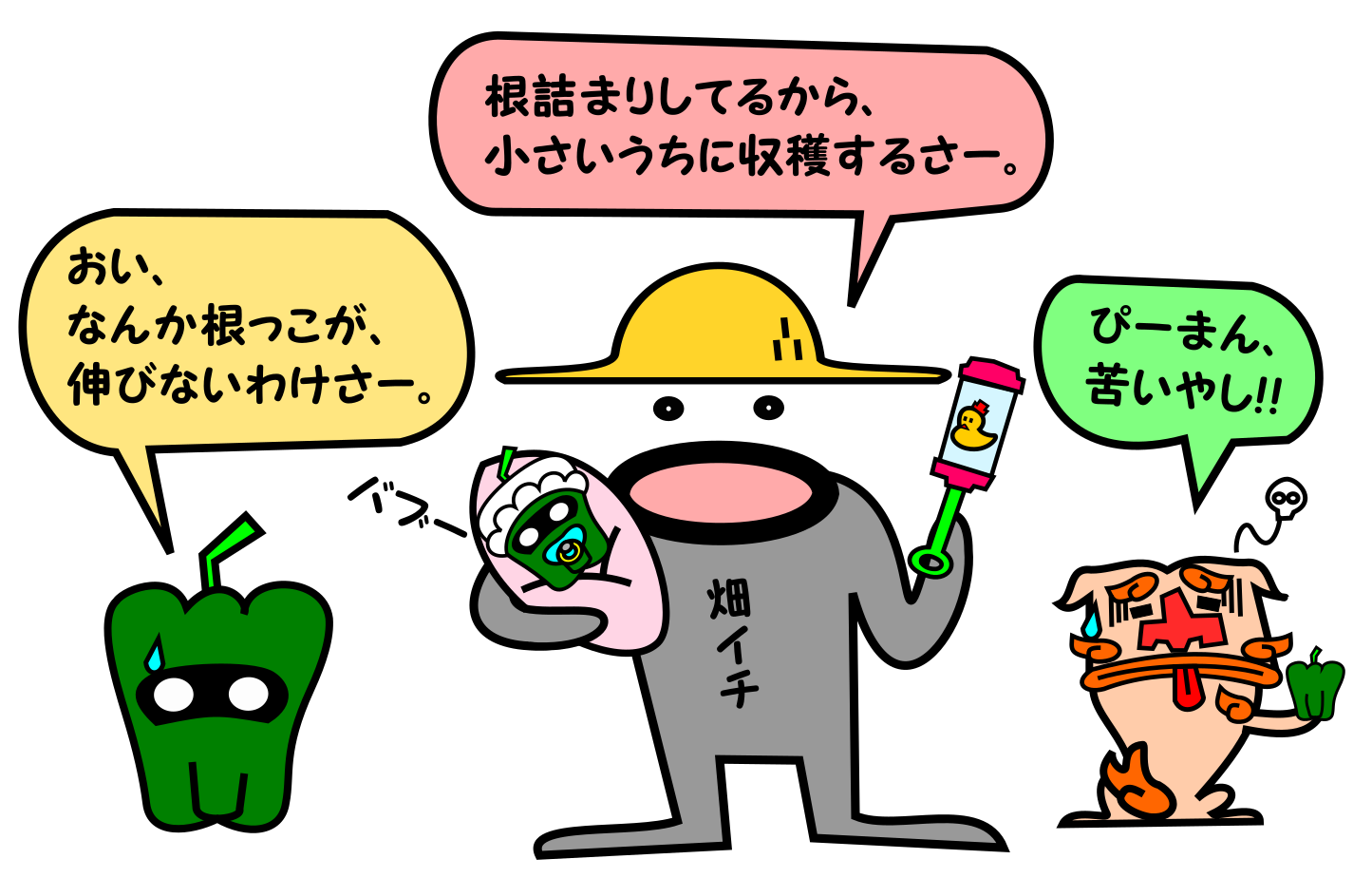 ピーマンが根詰まりしたようです 畑作業 ハルワジャ のブログ 楽天ブログ
