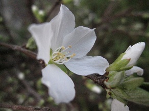 IMG_8160.JPG