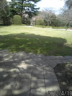 佐野城２の丸１