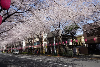 中野通り４.jpg