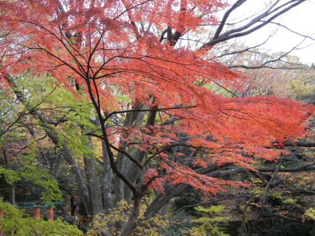 池上本門寺にて