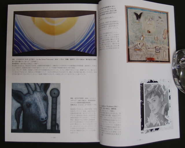 201305 saku municipal museumo of mordern art 30 year memorial specail collection exhibition emiko horimoto.jpg