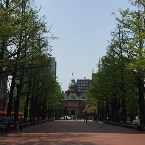 ライラック６.JPG
