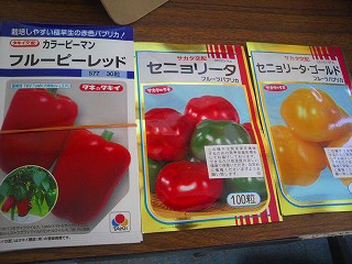 2012021111570000.jpg