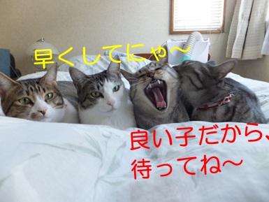 20121117_2.jpg