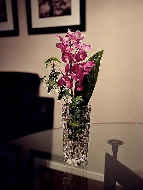 ナハトマン　フラワーベース　ボサノバ　16cm　花瓶