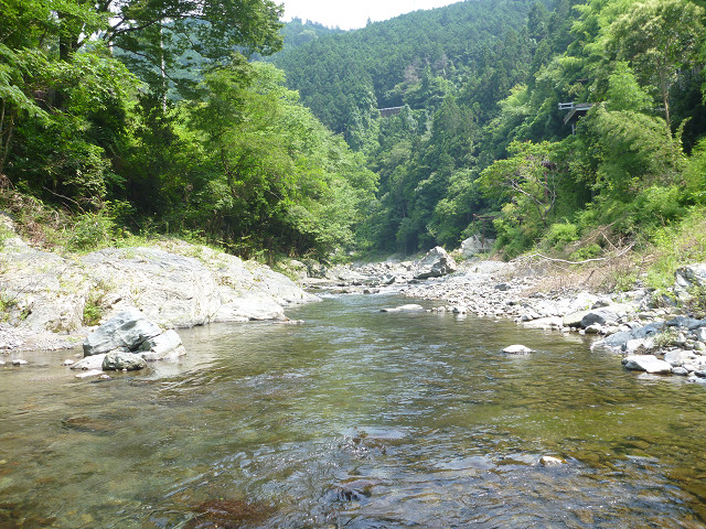 resize0014.jpg