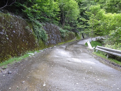 DSC01601.JPG