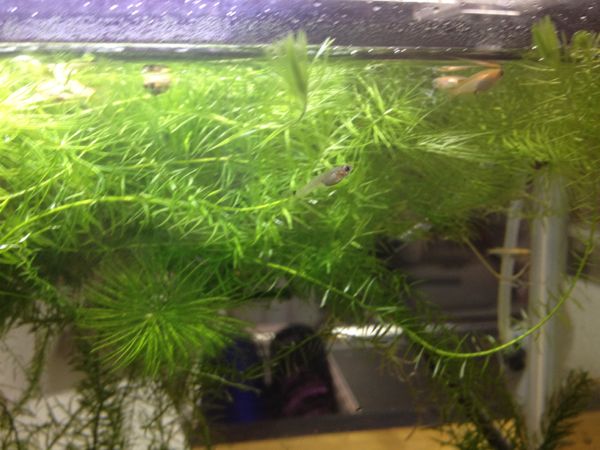 rblog-20141130024952-01.jpg