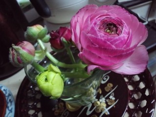 120404_1754~01.jpg