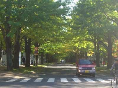 CIMG4279 (400x300).jpg