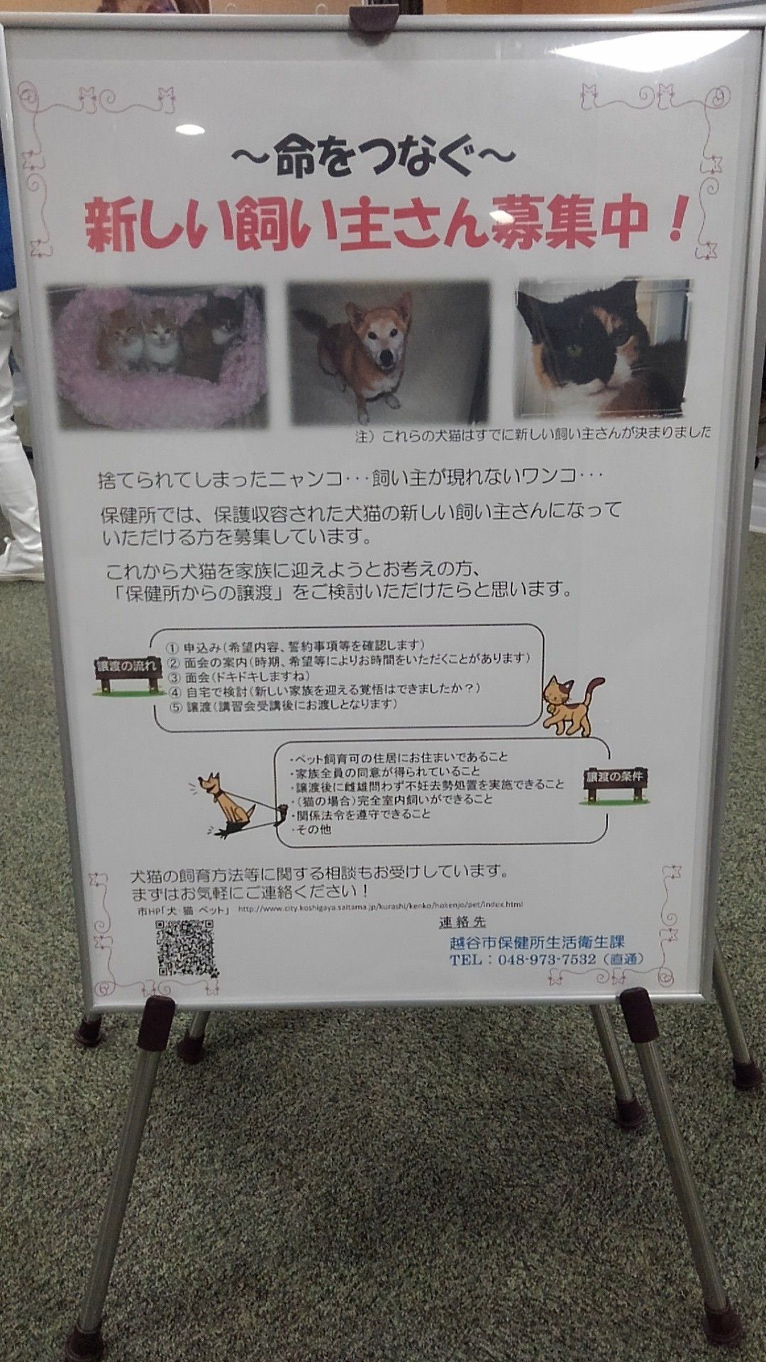 県 犬 埼玉 保健所