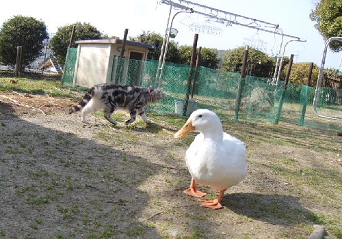 DSC_0124.JPG