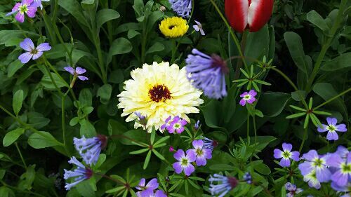 rblog-20180409210317-04.jpg