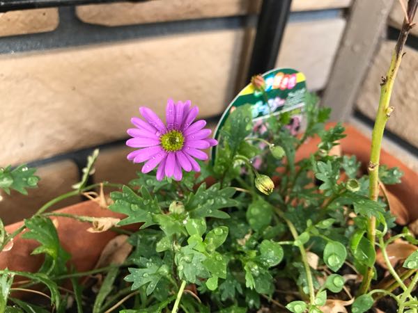 rblog-20190401164244-05.jpg