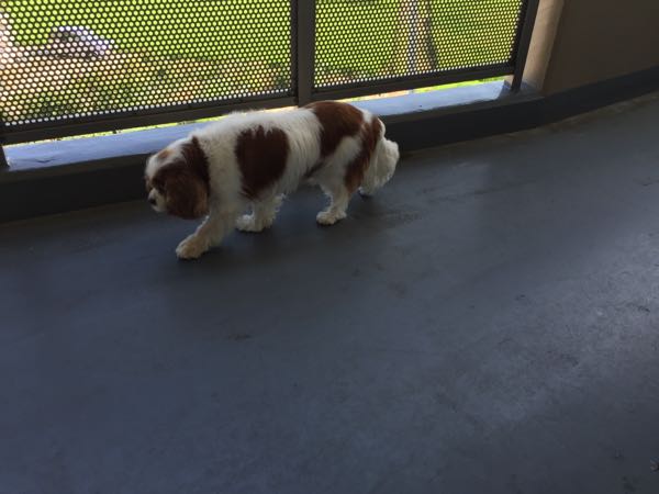 rblog-20160805121841-01.jpg