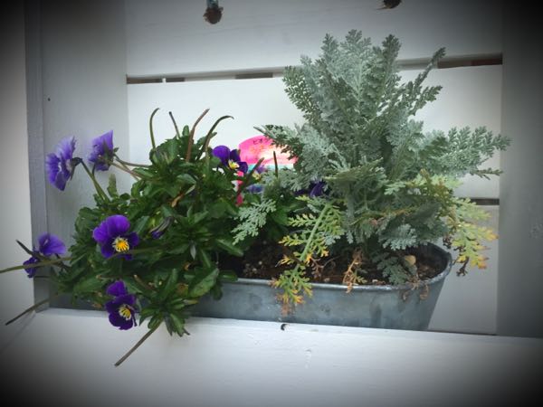 rblog-20160229191548-02.jpg