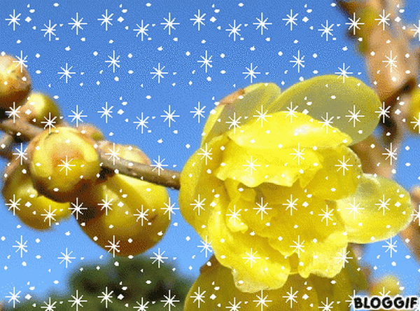 bloggif_5691022531227600ピクセル.gif
