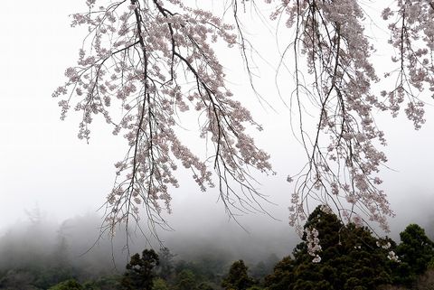 身延発_20120411-4.jpg