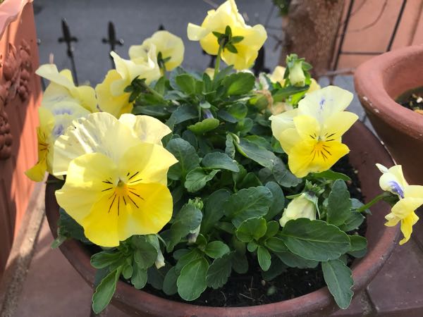 rblog-20180324163149-07.jpg