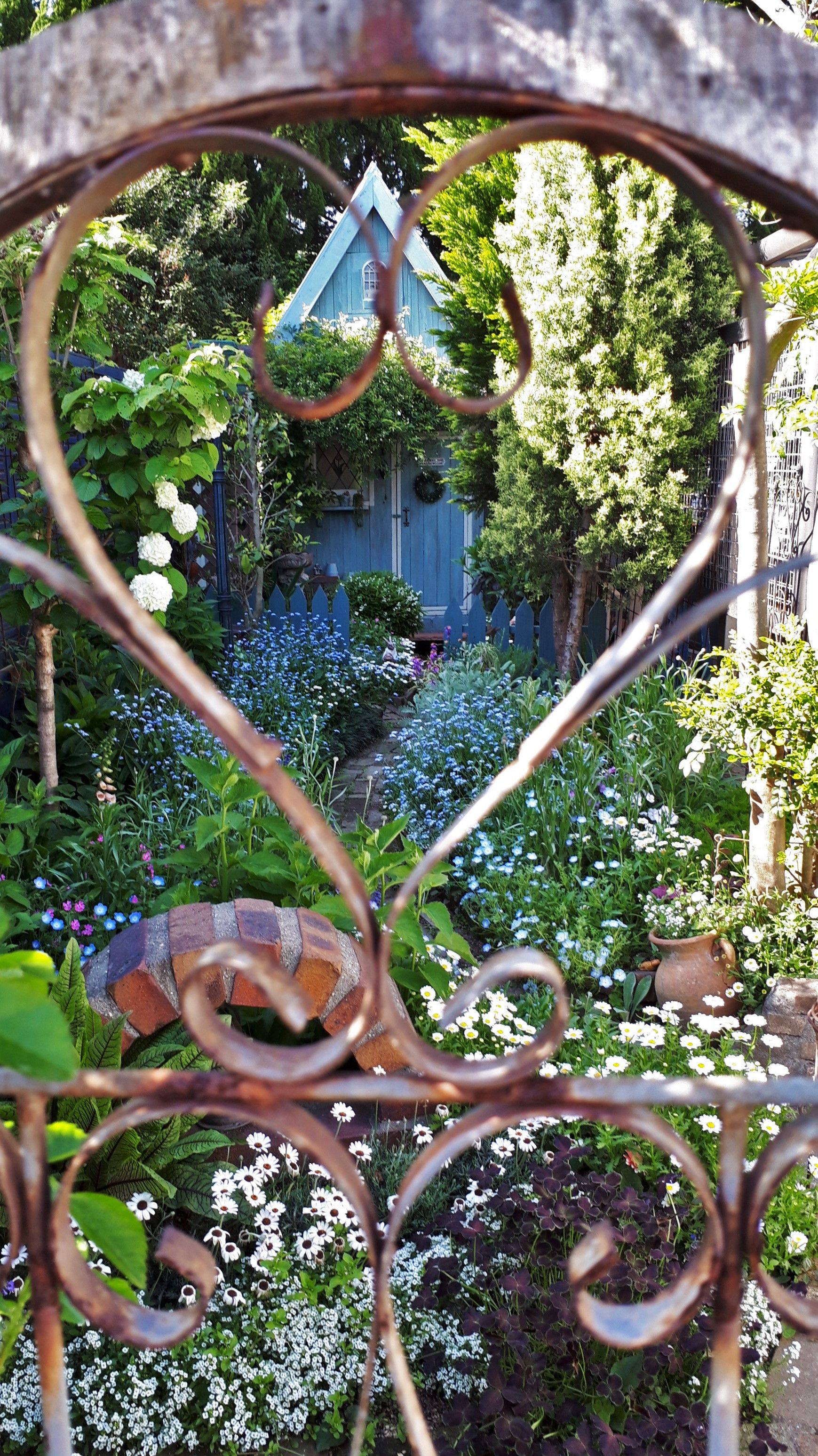 秘密の花園 ようこそブルーガーデンへ 楽天ブログ