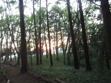 IMG_0117.JPG