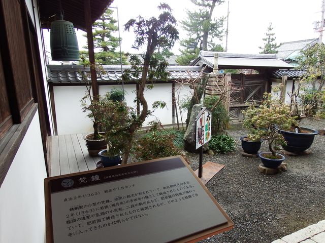 DSCF4421.JPG
