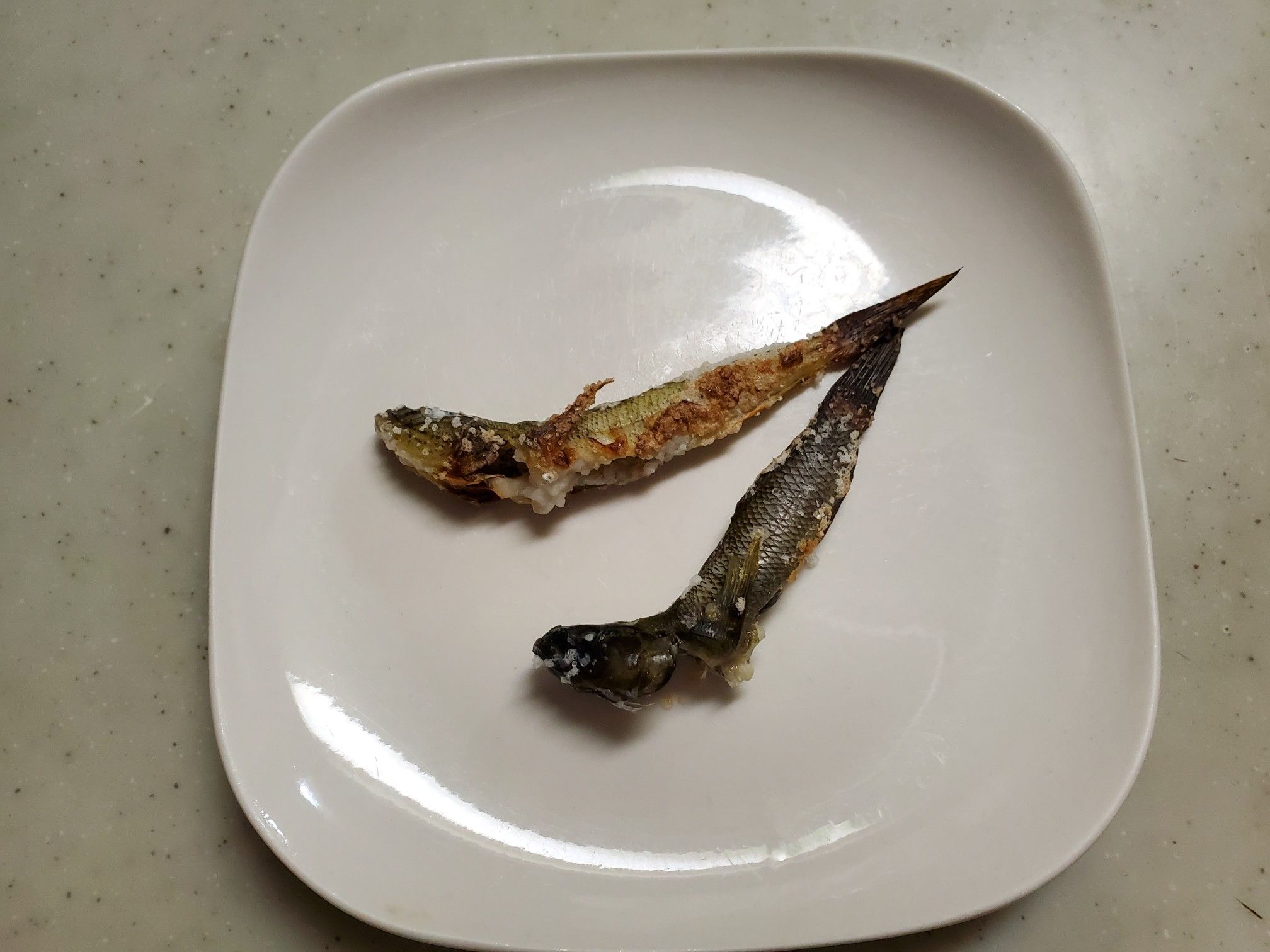 今日のハゼ道場 10 23 最終回 調理編 魚と日常ブログ 楽天ブログ