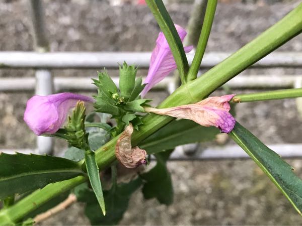 rblog-20181203161249-07.jpg