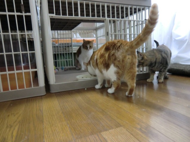 無題-24bitカラー-08.jpg