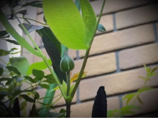 rblog-20160529211447-02.jpg