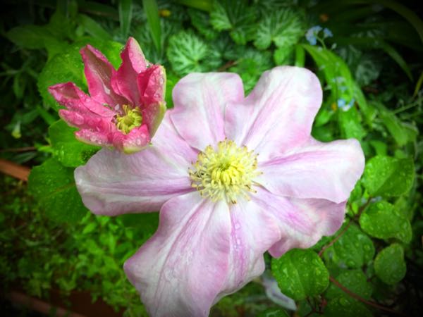 rblog-20160428171704-00.jpg