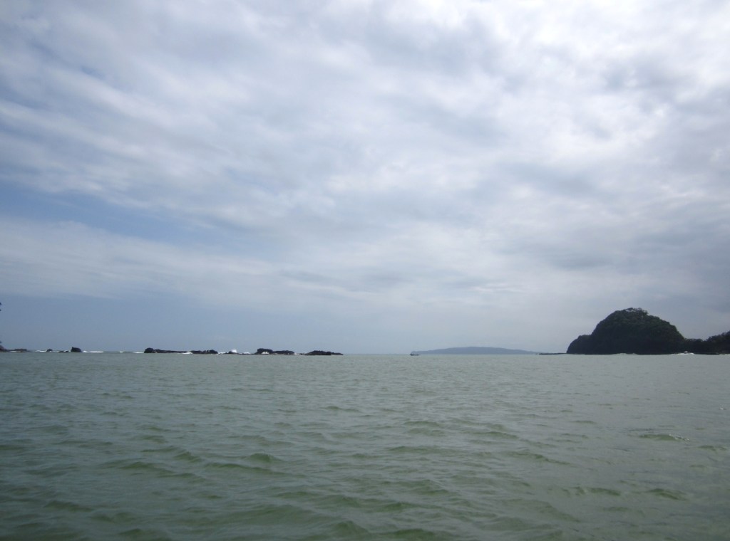 IMG_4562^.JPG